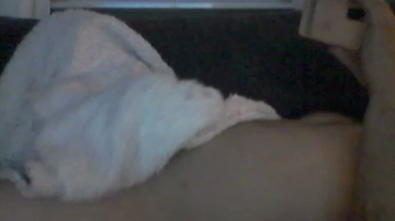Olf09  23-07-2021 Recorded Video Webcam